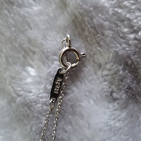 Heart Tag Key Pendant Medium 16inch - Picture 4 of 16